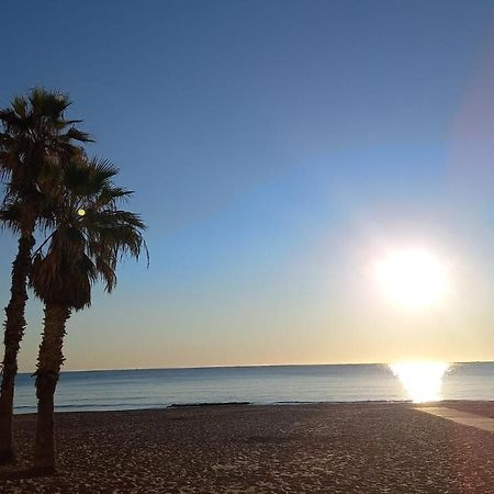 Julia'S Paradise Apartment Torrevieja Eksteriør bilde