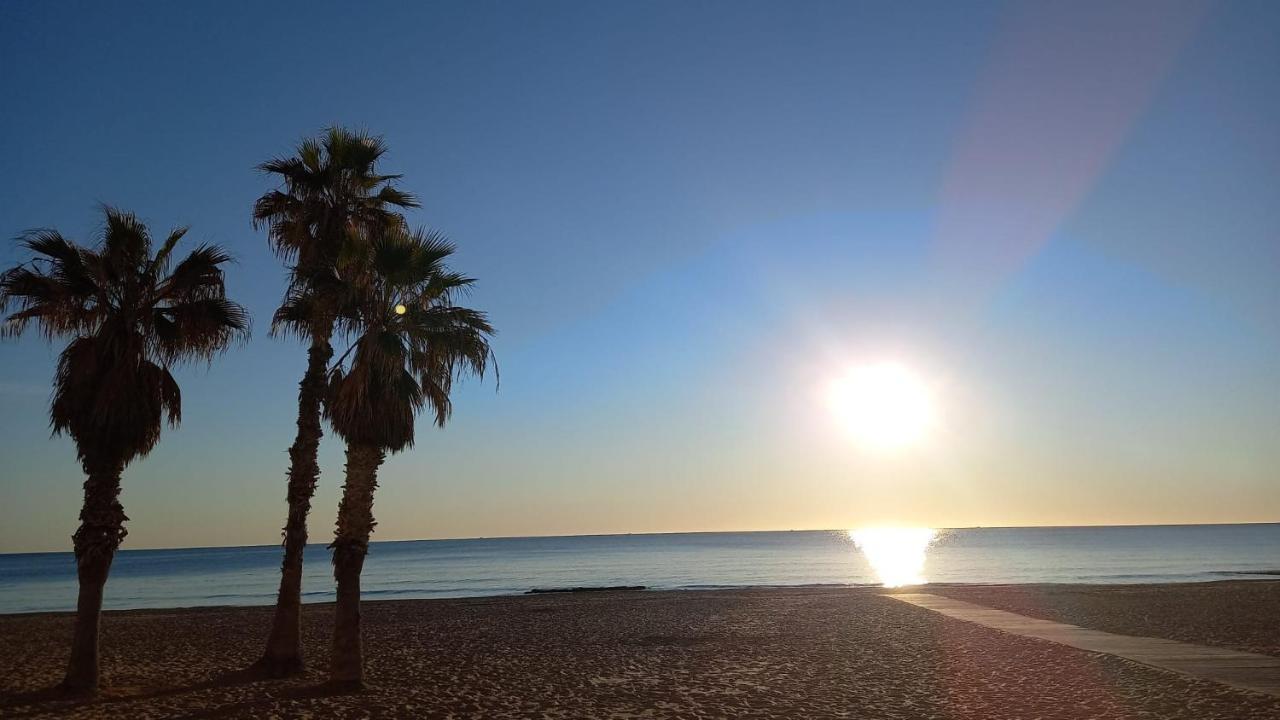 Julia'S Paradise Apartment Torrevieja Eksteriør bilde